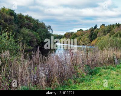 River Aire in Fairburn in West Yorkshire, England Stockfoto