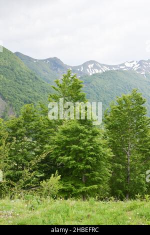 Nordalbanische Berge in Vermosh, Albanien. Besuchen Sie Albanien Stockfoto