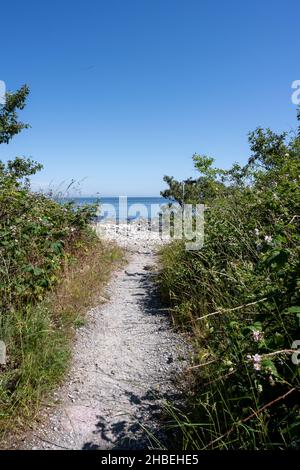 Ein aus dem Gras geschnitzter Naturpfad, umgeben von Wald, führt im Hintergrund zum Meer Stockfoto