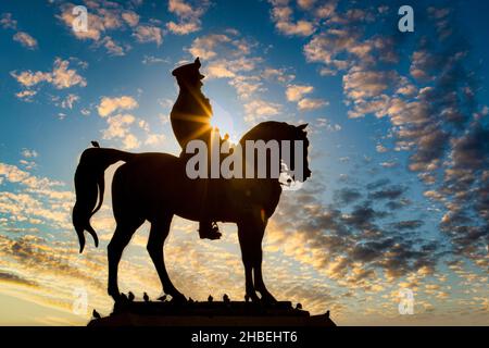 Birbirinden güzel Sülietler ve tekağaç modelleri. Stockfoto