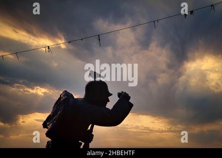 Birbirinden güzel Sülietler ve tekağaç modelleri. Stockfoto