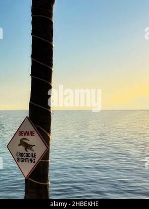 Vorsicht Krokodil Sichtung Zeichen auf einem Baum, Islamorada, Florida Keys, Florida, USA Stockfoto