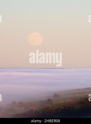 mond über Wolkeninversion - Campsie Fells, Schottland, Großbritannien Stockfoto