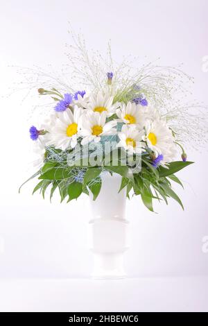 Bouquet von sentimentalen Blumen von Gänseblümchen und Kornblumen auf einem hellen Hintergrund Stockfoto