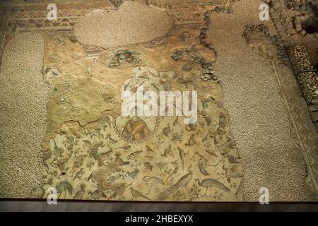 Archäologisches Museum Hatay:Es ist ein Museum mit vielen Mosaiken aus der römischen Zeit. Antiochia Mosaic Museum mit der größten Anzahl von Mosaic Stockfoto
