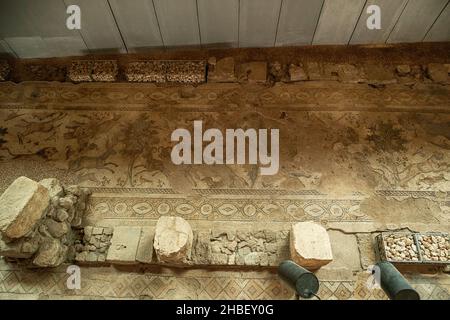 Archäologisches Museum Hatay:Es ist ein Museum mit vielen Mosaiken aus der römischen Zeit. Antiochia Mosaic Museum mit der größten Anzahl von Mosaic Stockfoto
