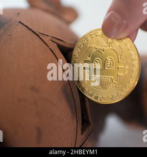 Menschliche Hand, die eine Bitcoin in einem Tonschweinebank einführt. Nahaufnahme, weißer Hintergrund Stockfoto