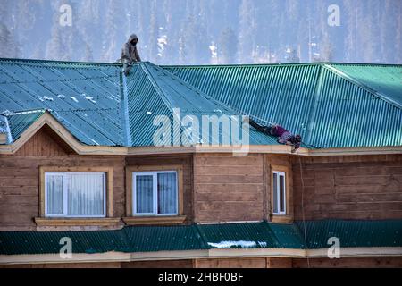 Gulmarg, Indien. 19th Dez 2021. Arbeiter reparieren das Dach des Hotels an einem kalten Wintertag in einem berühmten Skigebiet in Gulmarg, etwa 55kms von Srinagar entfernt. Kredit: SOPA Images Limited/Alamy Live Nachrichten Stockfoto