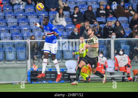 Genua, Italien. 19th Dez 2021. Omar Colley (Sampdoria) - Francis Tanner Tessmann (Venezia) während des Spiels UC Sampdoria gegen Venezia FC, italienische Fußballserie A in Genua, Italien, dicembre 19 2021 Quelle: Independent Photo Agency/Alamy Live News Stockfoto