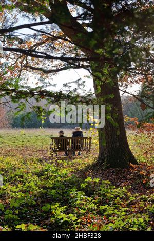Rückansicht eines älteren Menschen, der auf einer Bank sitzt und einen sonnigen Herbsttag in den Surrey Hills bei Ranmore Common in der Nähe von Dorking England genießt Stockfoto