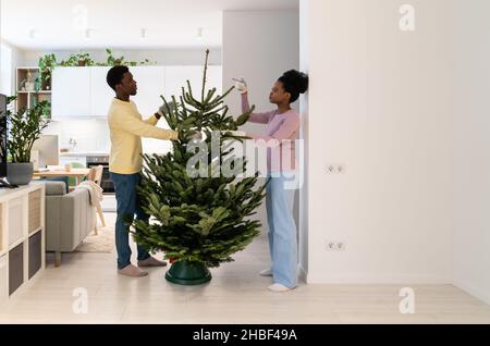 Junges afrikanisches Paar, das gemeinsam einen lebendigen Weihnachtsbaum aufstellt und sich auf die Winterferien vorbereitet Stockfoto