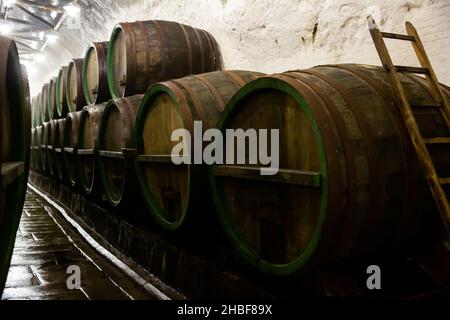 Reihen von Holzfässern in Bier Sudhaus Stockfoto