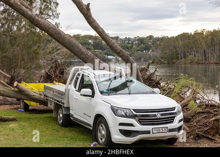 Sydney stürmt, stürmisches Wetter bringt einen Baum auf eine weiße Holden Ute neben dem narrabeen See in Sydney Northern Beaches, NSW, Australien Stockfoto