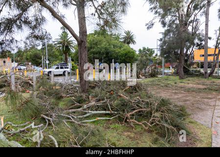 Ein wilder Sommersturm in Narrabeen bringt Bäume und Stromleitungen an den nördlichen Stränden von Sydney, NSW, Australien Stockfoto