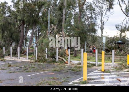 Ein wilder Sommersturm in Narrabeen bringt Bäume und Stromleitungen an den nördlichen Stränden von Sydney, NSW, Australien Stockfoto