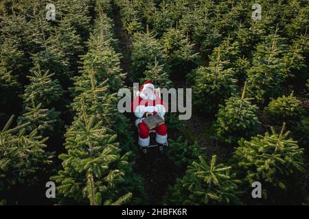 Ein erhöhter Blick auf den professionellen Weihnachtsmann aka Sheldon Scott saß inmitten eines Feldes von Weihnachtsbäumen schlafend Credit: Ben Rector/Alamy Stock P Stockfoto