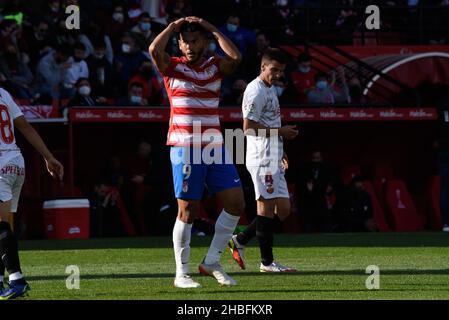 Granada, Granada, Spanien. 19th Dez 2021. Luis Suarez von Granada CF beklagt sich während des Liga-Spiels zwischen Granada CF und Real Mallorca im Nuevo Los Carmenes Stadion am 19. Dezember 2021 in Granada, Spanien. (Bild: © Jose M. Baldomero/Pacific Press via ZUMA Press Wire) Stockfoto