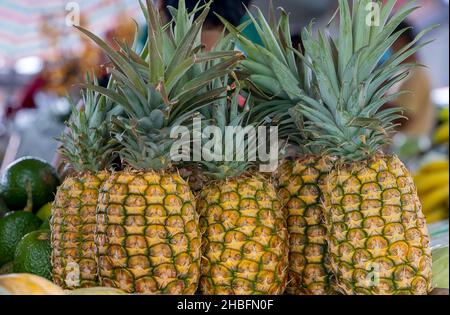 Reife hawaiianische Ananas zum Verkauf auf dem Bauernmarkt in Hilo, Hawaii Stockfoto