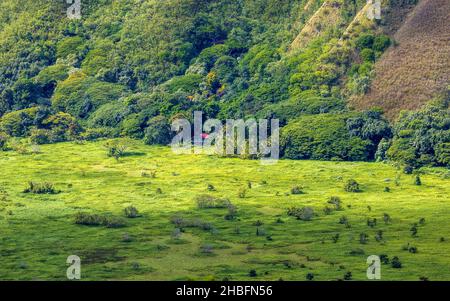 Atemberaubende Aussicht vom Waipio Valley Lookout, Big Island, Hawaii Stockfoto