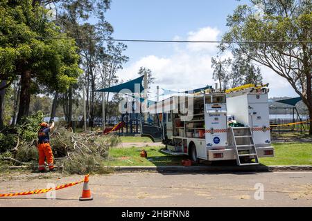 Einen Tag nachdem der Mini-Zyklon riesige Gebiete der nördlichen Strandgemeinde von Sydney zwischen Mona Vale und Forestville verwüstet und eine 68-jährige Frau getötet hat, helfen die Freiwilligen des State Emergency Services (SES) beim Aufräumen rund um den Narrabeen-See, räumen Bäume und helfen, den Zugang für die Bewohner wiederherzustellen. Martin Berry @ alamy Live Nachrichten. Stockfoto