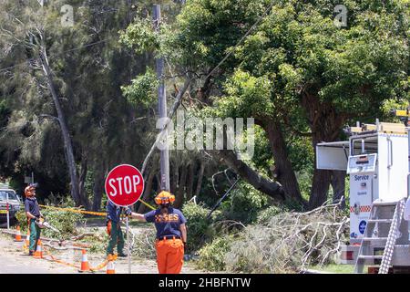 Einen Tag nachdem der Mini-Zyklon riesige Gebiete der nördlichen Strandgemeinde von Sydney zwischen Mona Vale und Forestville verwüstet und eine 68-jährige Frau getötet hat, helfen die Freiwilligen des State Emergency Services (SES) beim Aufräumen rund um den Narrabeen-See, räumen Bäume und helfen, den Zugang für die Bewohner wiederherzustellen. Martin Berry @ alamy Live Nachrichten. Stockfoto