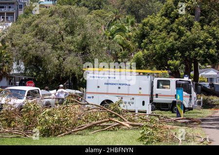 Einen Tag nachdem der Mini-Zyklon riesige Gebiete der nördlichen Strandgemeinde von Sydney zwischen Mona Vale und Forestville verwüstet und eine 68-jährige Frau getötet hat, helfen die Freiwilligen des State Emergency Services (SES) beim Aufräumen rund um den Narrabeen-See, räumen Bäume und helfen, den Zugang für die Bewohner wiederherzustellen. Martin Berry @ alamy Live Nachrichten. Stockfoto