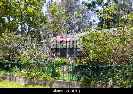 Min Cyclone bringt Sachschäden und umgestürzte Bäume nach Narrabeen an den nördlichen Stränden von Sydney, NSW, Australien Stockfoto