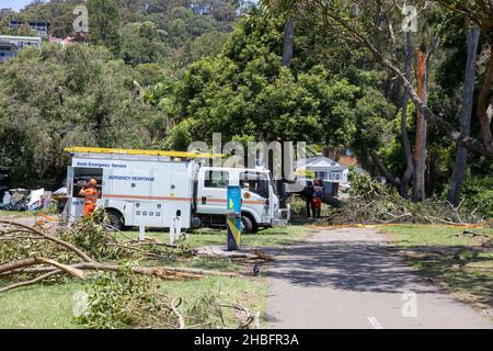 Die Freiwilligen des staatlichen Rettungsdienstes räumen nach dem Sturm, der die nördlichen Strände von Sydney, NSW, heimgesucht hat, weiterhin rund um den Narrabeen-See auf Stockfoto