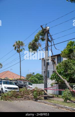 Der Mini-Zyklon in Narrabeen an den nördlichen Stränden Sydneys brachte Bäume auf die Oberleitungen, wobei etwa 26000 Einwohner an der Macht verloren Stockfoto