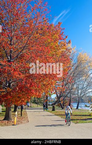 Radfahren am Ufer des Lake Burley Griffin Stockfoto