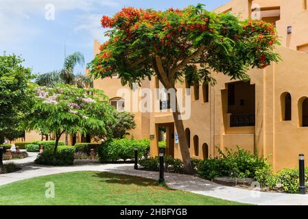 Hurghada, Ägypten - 31. Mai 2021: Blick auf die Villen des Hotels und den blühenden Baum des Stella Di Mare Beach Resort and Spa in der Bucht von Makadi, die Stockfoto