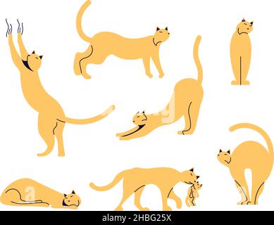 Set von lustigen Katzen isoliert auf weiß. Variety streicht in verschiedenen Posen sitzend, stehend, streckend, spielend, liegend. Flache Grafik Als Vektorgrafik Stock Vektor