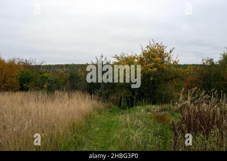 Altes Tor im Gartenzaun, im Herbst Stockfoto