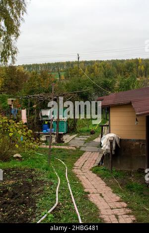 Altes ländliches Fruchtfleisch im Dorf, im Herbst Stockfoto