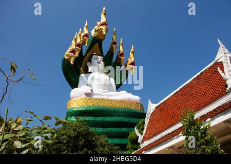 Buddha-Haltung der Meditation geschützt Deckkopf von mythischen Schlange oder Naga Prok für thailänder und ausländische Reisende reisen besuchen Respekt beten Stockfoto