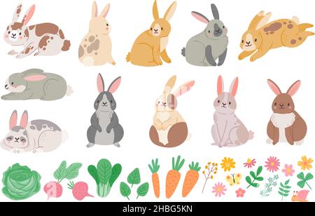 Cartoon niedlichen Frühling Kaninchen, Hasen, Blumen und Gemüse. Bunny Charakter springen, sitzen und schlafen. Vektor-Set für braune und weiße Kaninchen Stock Vektor
