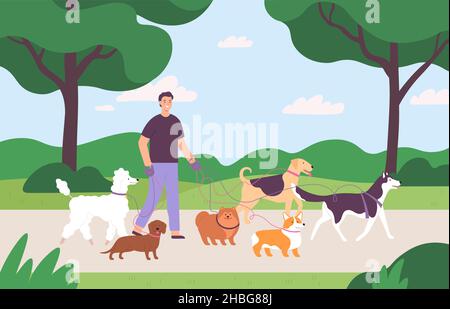 Mann Freiwilliger Charakter zu Fuß mit vielen Hunden an der Leine im Park. Hund sitter Job im Freien. Flat Dogs Walk-Service oder Tierpflege Vektor-Konzept Stock Vektor