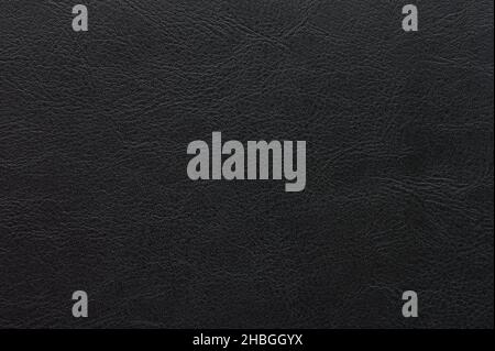 Makro-Nahaufnahme mit schwarzer Lederstruktur. Oberfläche der tierischen Haut Stockfoto
