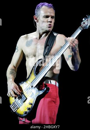 Floh of the Red Hot Chili Peppers tritt in der O2 Arena in London auf. Stockfoto