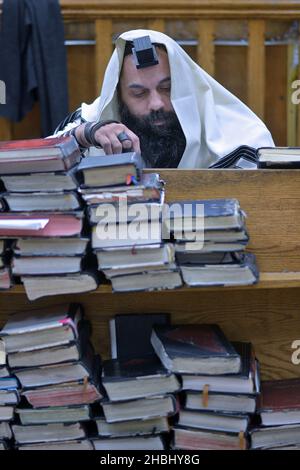 Ein orthodoxer jüdischer Mann, der einen Gebetsschal und Mylacterien trägt, betet hinter einem Stapel Bücher. In einer Synagoge in Brooklyn, New York. Stockfoto