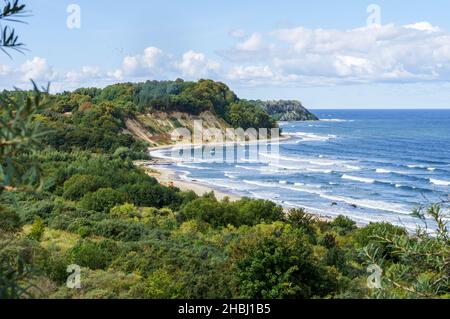 Das sandige Ufer des Meeres. Wellen an der Ostsee. Kiefernwald an der Küste. Wellen an der Ostsee. Stockfoto