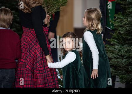 Die schwedische Prinzessin Madeleine, ihr Ehemann Chris O'Neill, Prinzessin Leonore, Prinzessin Adrienne und Prinz Nicolas erhalten am 20. Dezember 2021 Weihnachtsbäume im Königspalast in Stockholm, Schweden. Foto: Anders Wiklund / TT Code 10040 Stockfoto