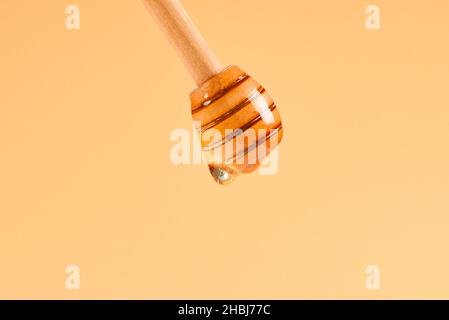 Dipper Honig auf orangefarbenem Hintergrund. Speicherplatz kopieren. Stockfoto