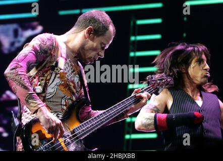 „Floh“ Michael Balzary von Red Hot Chili Peppers live auf der Bühne. Stockfoto