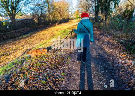 Eine Frau geht mit ihrem Hund im Park Stockfoto