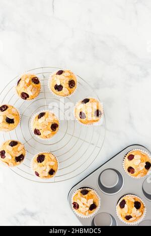 Kirschmuffins, dekoriert mit Mandelsplittern in Metallbackform und auf einem Kühlgestell auf weißem Marmorboden mit Kopierfläche. Ansicht von oben. Stockfoto