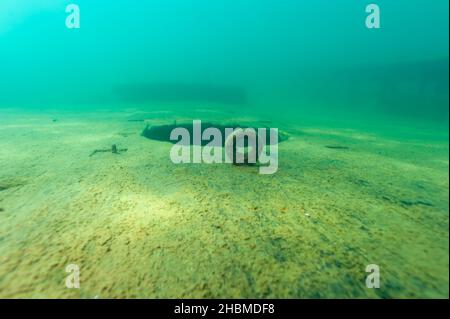 Ein Befestigungspunkt aus Metall auf dem Deck des Bermuda-Schiffswracks im Alger Underwater Preserve in Lake Superior Stockfoto