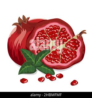 Ganzer Granatapfel mit der Hälfte, Blätter isoliert auf weißem Hintergrund. Vektordarstellung... Stock Vektor
