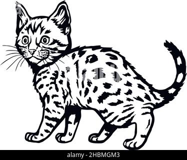 Katze, Peeking Kitten - fröhliche Kätzchen isoliert auf weiß - Vektor Stock Illustration Stock Vektor