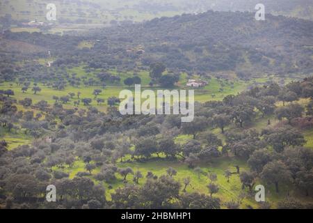 Sierra de San Pedro dehesas, Alburquerque, Extremadura, Spanien. Blick von San Blas Craig Stockfoto